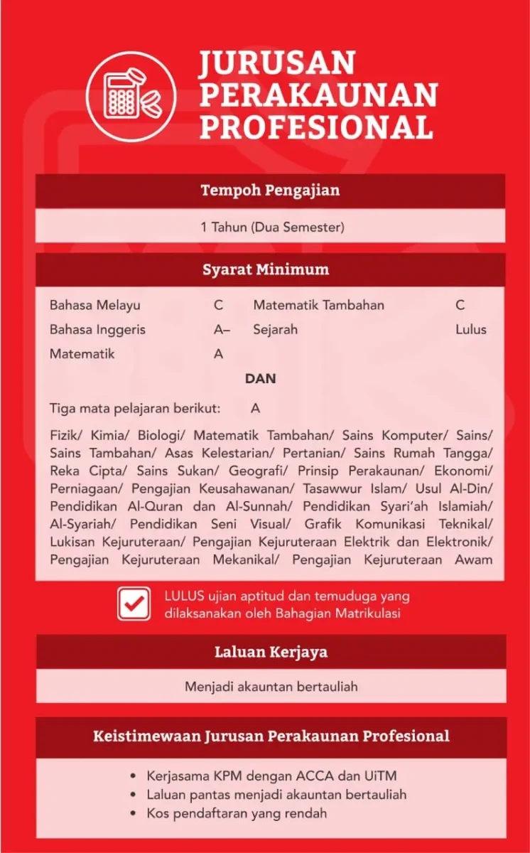 PERAKAUNAN PROFESIONAL